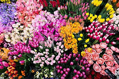 使命召唤18先锋延迟高、卡顿怎么办？野豹加速器免费加速有效解决！