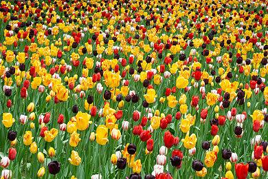 《RAIDOU Remastered: 超力兵团奇谭》免费DLC“授予你新的称号”已发布 