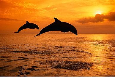 《刺客信条：奥德赛》Steam新史低 29.8元即可入手