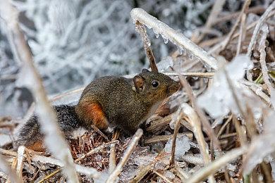 EA手游《指环王：中土英雄》现已在菲律宾地区推出