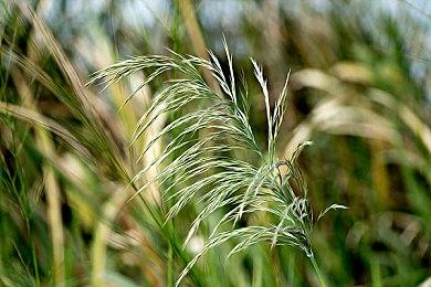 VGNY工作室即将公布新游 面向经典主机世嘉DC平台